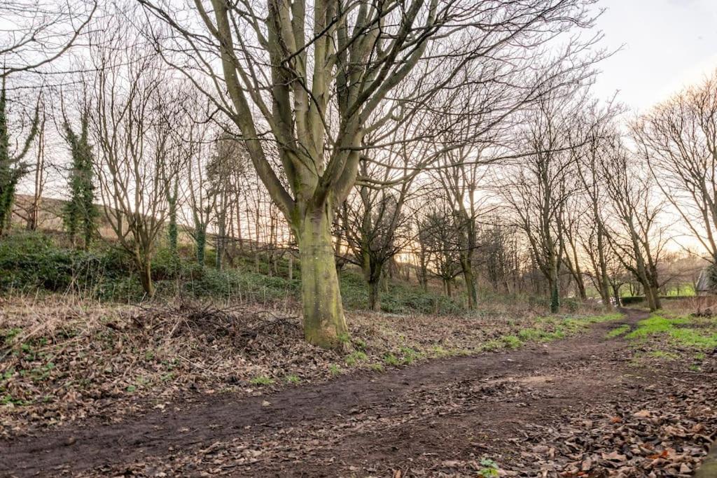 Holyrood Park: Lush & Arty 2 Double Bed Flat Apartment เอดินบะระ ภายนอก รูปภาพ